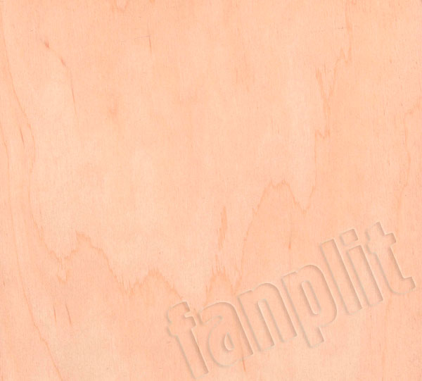 Sperrholz Klasse E „Elite“ (A) (1m2)